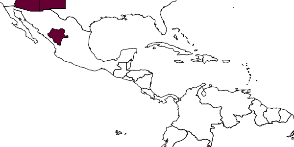 map of Epeolus chamaesarachae     Onuferko, 1918